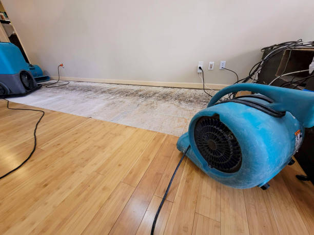 Professional Basement Flood Cleanup technician working in Villa Park, CA